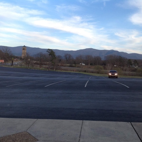 Meet your Posher, Sheba - Picture 1 of 1